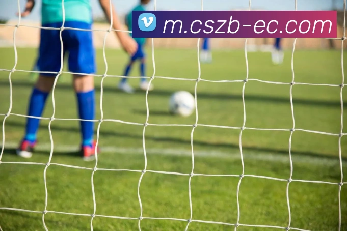 辅助工具 辅助工具